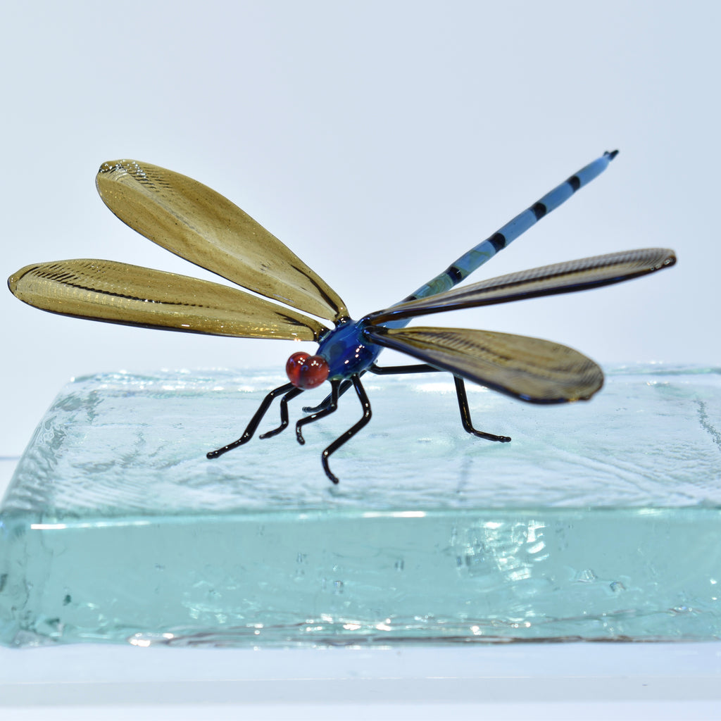Dragonfly - Corley Studio Shop