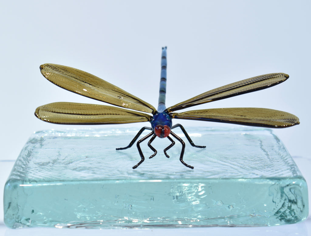 Dragonfly - Corley Studio Shop