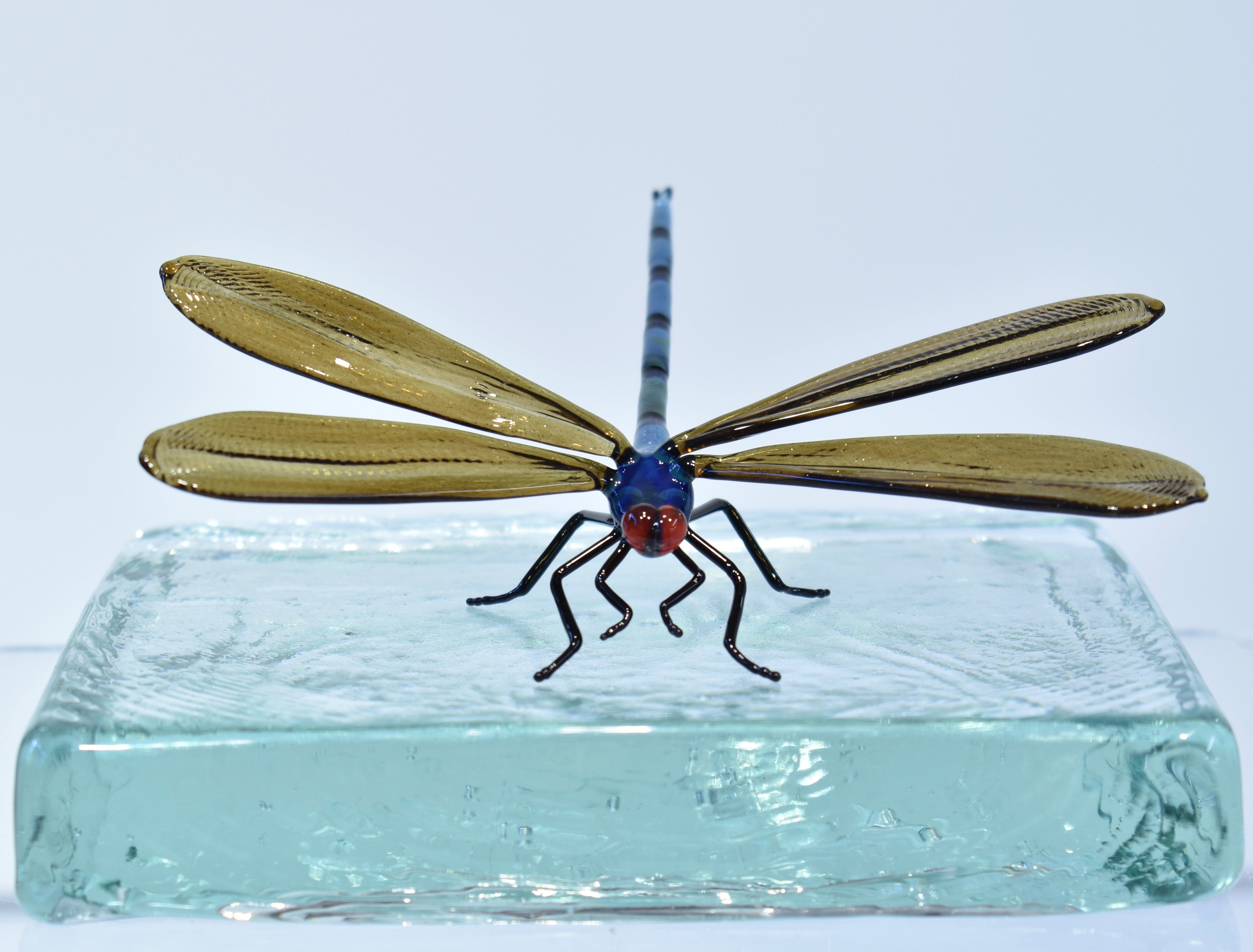 Dragonfly - Corley Studio Shop