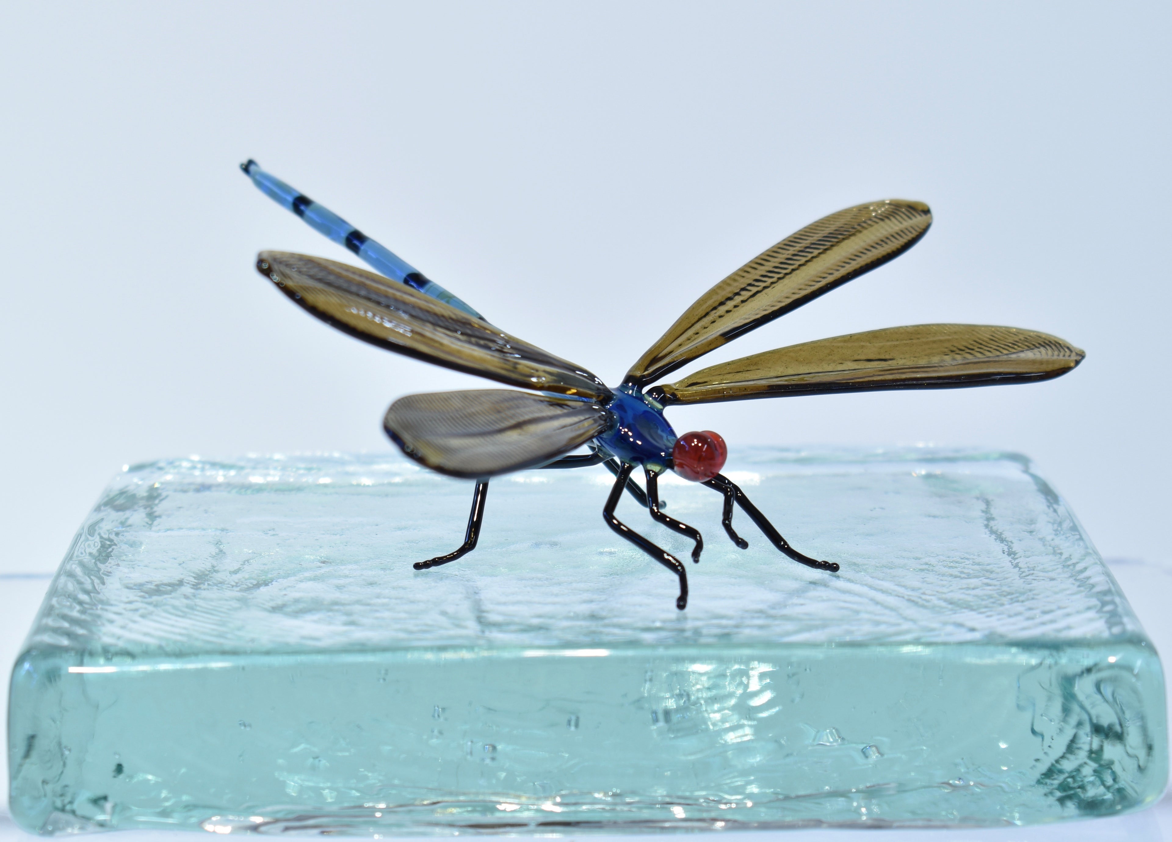 Dragonfly - Corley Studio Shop