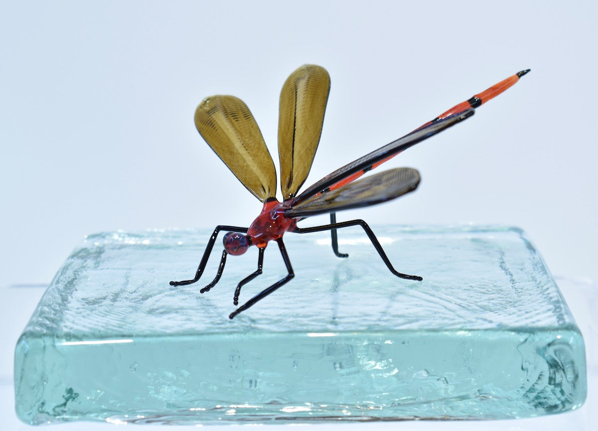 Dragonfly - Corley Studio Shop